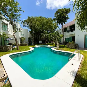 Coral Cerebro De Espacio Yocte Con Alberca A 10min De La 5taav Villa Playa del Carmen
