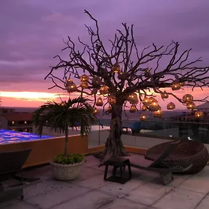 Sax House 306 Mexico